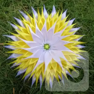 Sacrifice Flowers Temple of the Sacred Tooth Relic Kandy - Hand Made Hand Craft Sri Lanka
