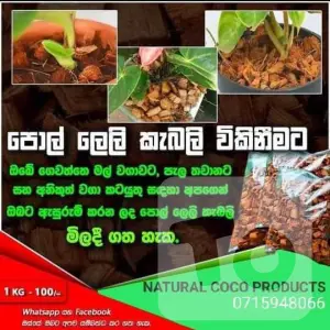Coconut Husk Chips | පොල් ලෙලි කැබලි | for Anthurium and Orchids - Sri Lanka