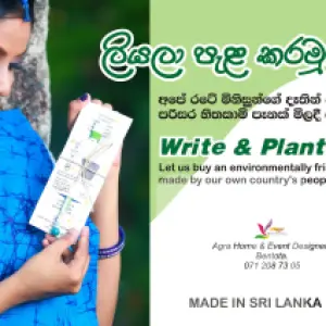 Pens and Pencils Sri Lanka | Plantable Pens and Pencils | Eco Friendly Products
