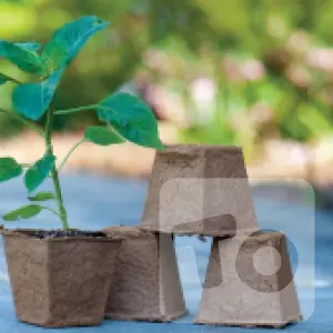Flower and Vegetable Vase - Eco-Friendly adn Recycled and produced paper for a rich plantation