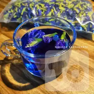 Butterfly Pea - නිල්කටරොළු වියළි මල් සහ පවුඩර් - Milk Powder Alternatives