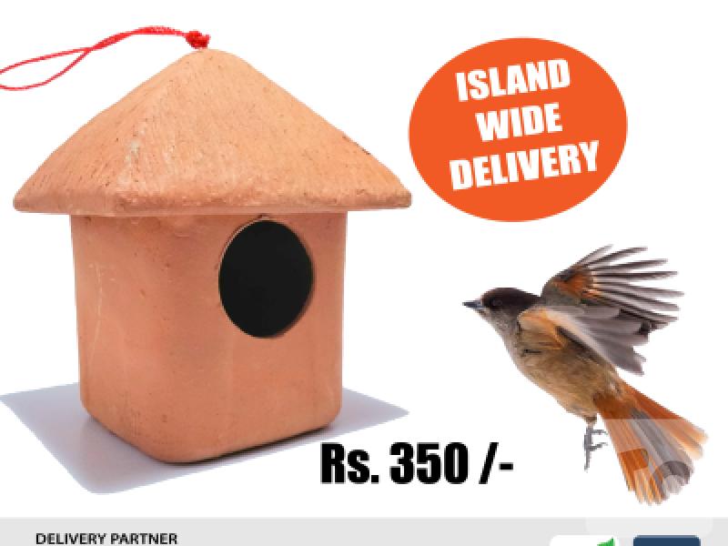 Bird Nest - Clay made Bird Nest Sri Lanka