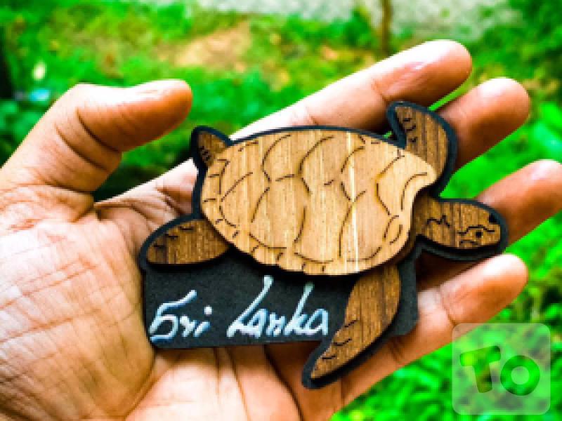 Fridge Magnet - Turtle and Tortoise designed Surface Magnet Art