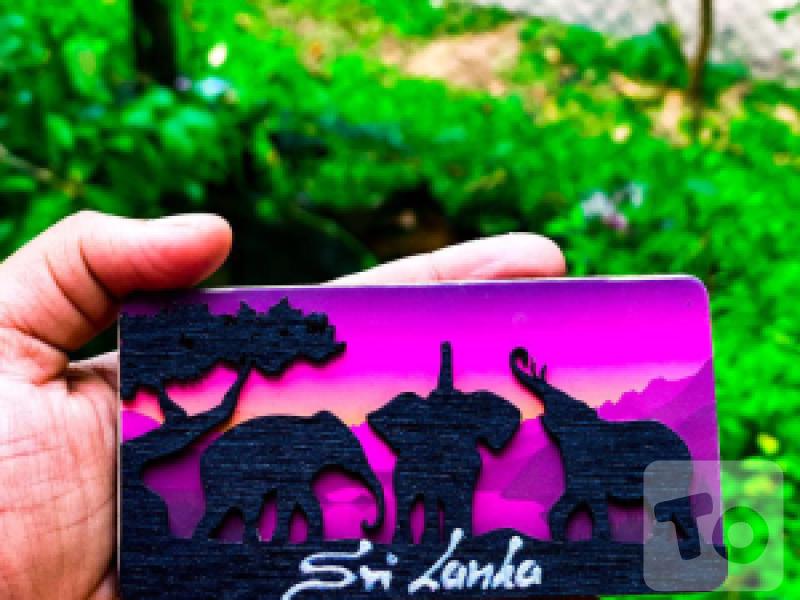 Fridge magnet - Sri Lankan Nature and Wild Life Magnet Art