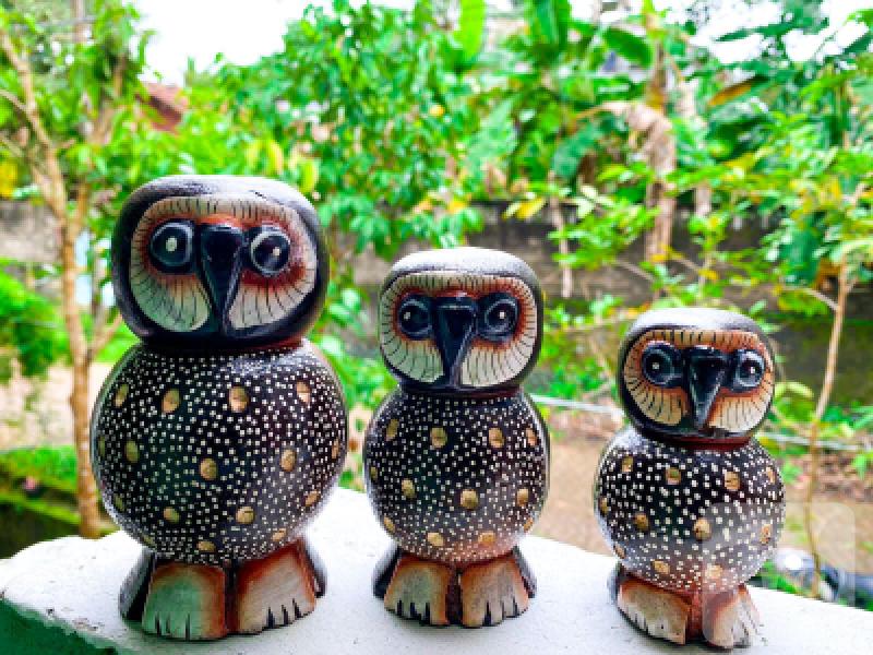 Wood Owl Statue set 3 type of sizes Animal Sculpture Ornament, Hand Craft Home Accessories