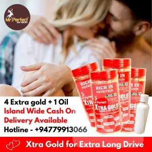 Mr Perfect Xtra Gold 
