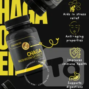 Chaga Mushroom Extract 